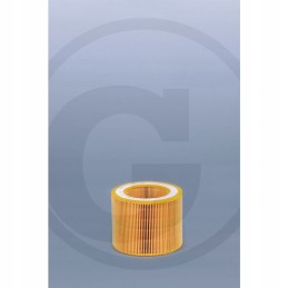 AF26403 fleetguard oro filtras 13294374