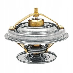 Termostatas Steyr 131100040036 405975 B508409