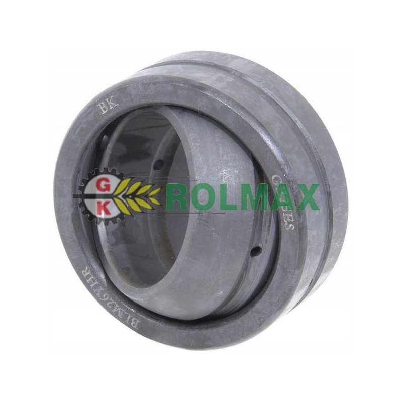 Šarnyrinis guolis ina fag ge25doina