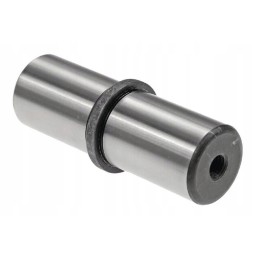 Priekinės ašies pakabos kaištis