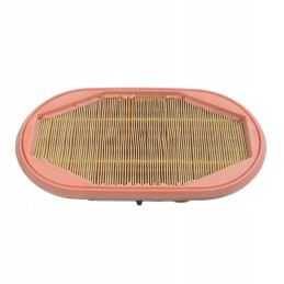 Apsauginis oro filtras h737200092110 mann cf2944