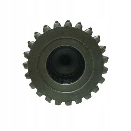 Pavarų dėžės pagrindinis velenas c360 50419060 seno tipo