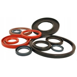 Troškinantis sandariklis 40x62x12 troškinantis