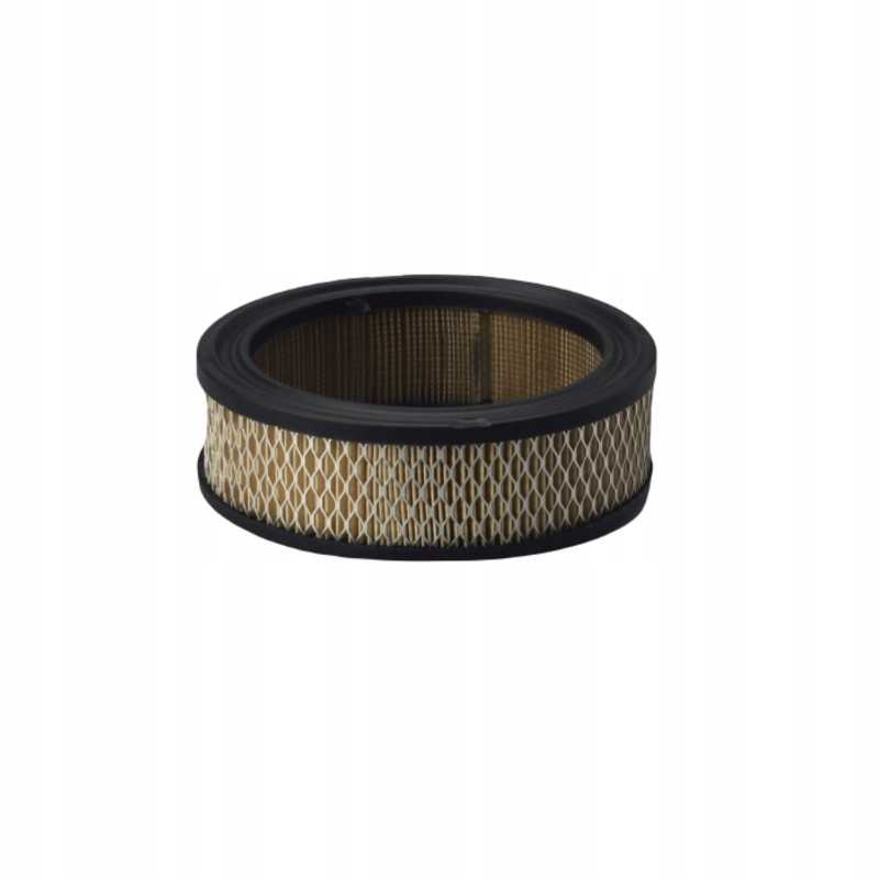 Donaldson oro filtras p528231