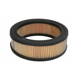 Donaldson oro filtras p528231