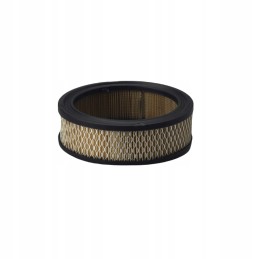 Donaldson oro filtras p528231