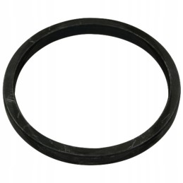 Dan spicer tarpiklio žiedas