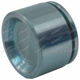 Claas Renault stabdžių cilindro stūmoklis