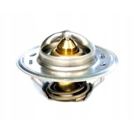Termostatas ford 83913835