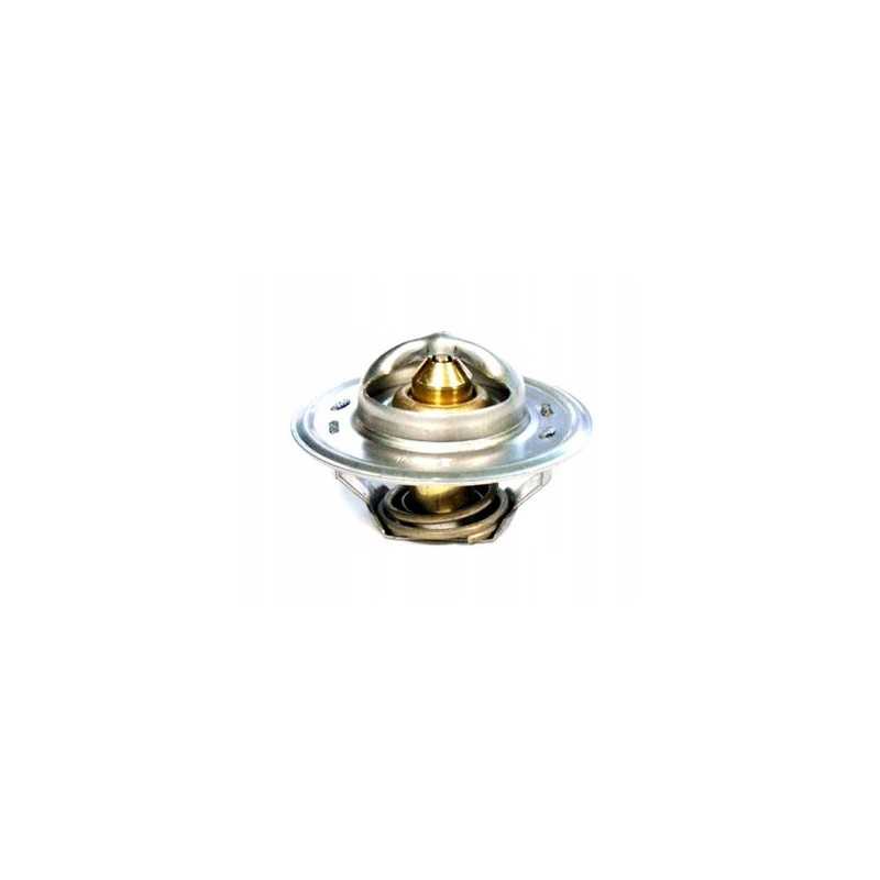 Termostatas ford 83913835