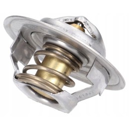 Termostatas ford 83913835
