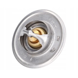 Termostatas ford 83913835