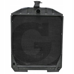 Radiatorius Renault 85004985