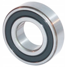 62072rs rutulinis guolis