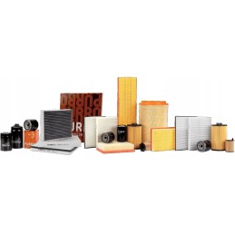 Agro mar renault ares salono filtras 6005704023