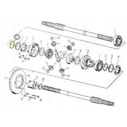 Diferencialo poveržlė c 330 50013720