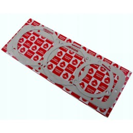 Galutinių pavaros tarpiklių rinkinys 50528020 50