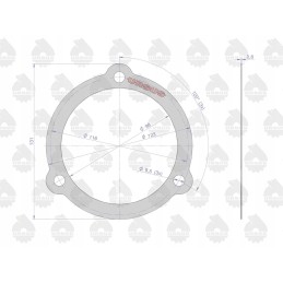 Galutinių pavaros tarpiklių rinkinys 50528020 50