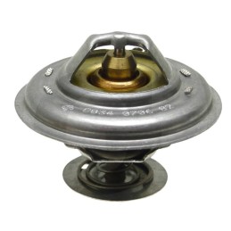 Massey Ferguson termostatas 4224624m1