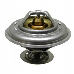 Massey Ferguson termostatas 4224624m1