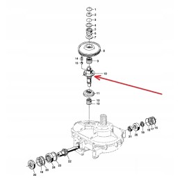 Lca67386 volas su sankaba