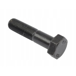 Smeigtukas varžtas m14x1 5x60 50 63 410 0 50634