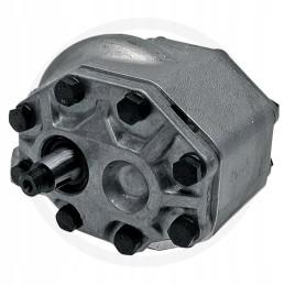 Hidraulinis siurblys 308873a1 93835c92 550132825 caseih