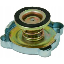 Agtech vandens radiatoriaus dangtelis Ursus C 330