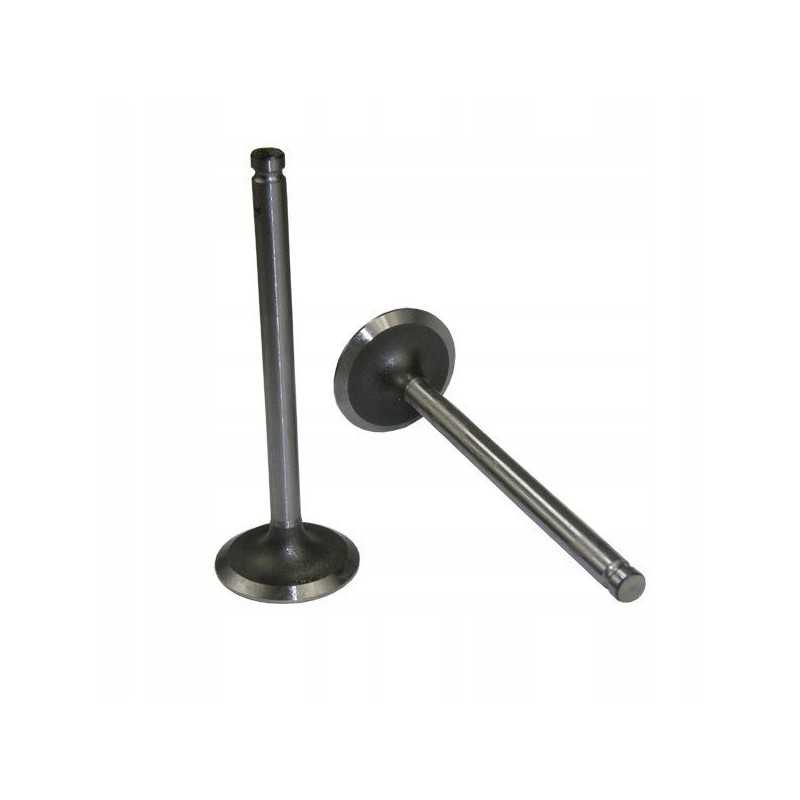 Siurbimo vožtuvas mf3 originalus ursus 3 31431681u