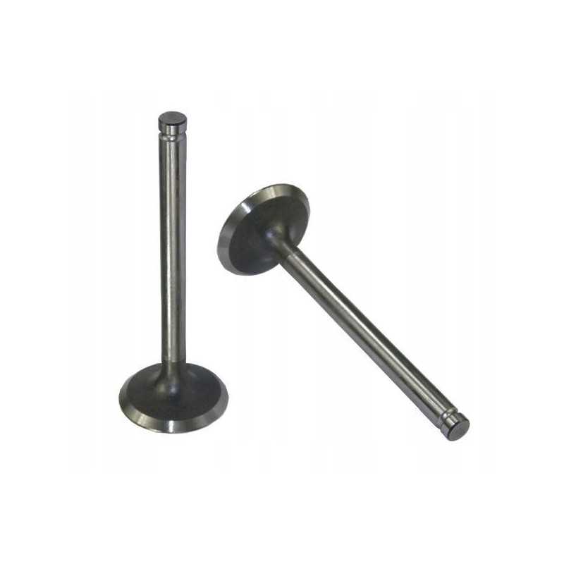 Siurbimo vožtuvas mf4 originalus ursus 4 31431641u