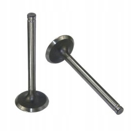 Siurbimo vožtuvas mf4 originalus ursus 4 31431641u