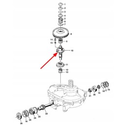 Lca67387 volas su sankaba