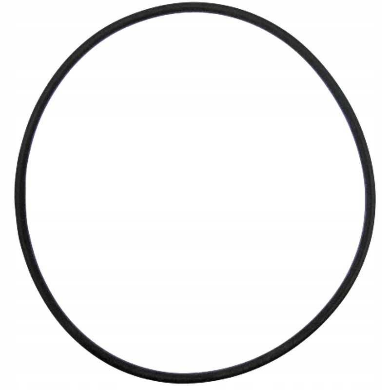 Oring case ih 112mm 71802028 granitas
