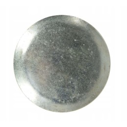 Priekinės ašies korpuso dangtelis c 385 88170092