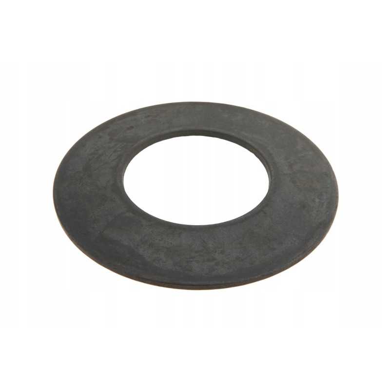 4232202m1 ašies tarpiklis