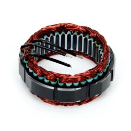 Kintamosios srovės generatoriaus statorius 9515672ex c 385 naujo tipo ekspozicija