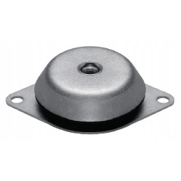 Standartinė mašinos pėda