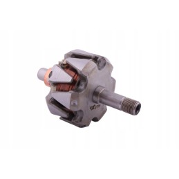 kintamosios srovės generatoriaus rotorius ax230000 c 330 c 360 nt expom