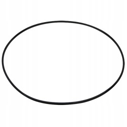 Žiedas 200 mm 5450634303227 0634303227 zf