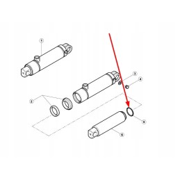6005028037 pavaros sandariklio žiedas
