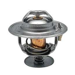 Termostato korpusas 218039a1