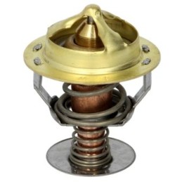 Thermotec termostatas d2cu001tt