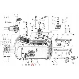 Alyvos išleidimo kaištis c 360 46418230