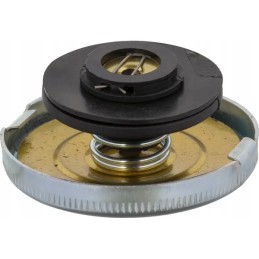 Radiatoriaus dangtelis nh