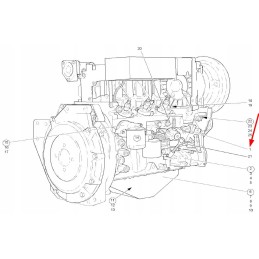 1000087203 alyvos pildymo angos dangtelis