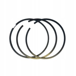 Variklio žiedai fi 101 054 mf 101 054 x 2 5 2 5