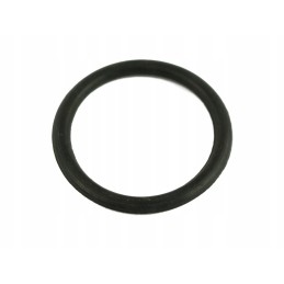 Alyvos siurblio žiedas pl602203 1 9 0063 190063