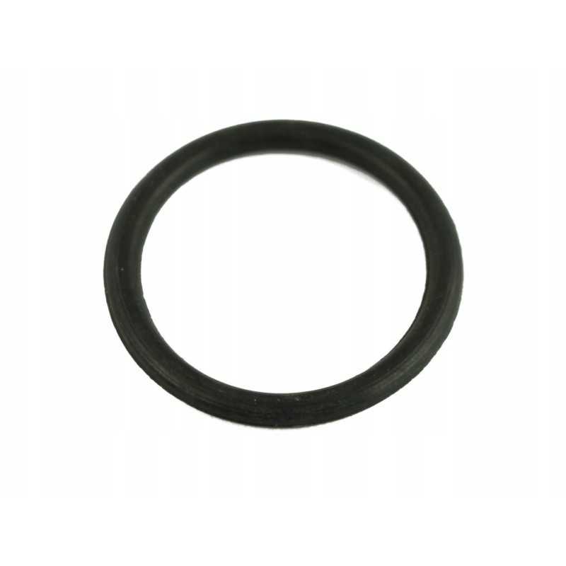 Alyvos siurblio žiedas pl602203 1 9 0063 190063