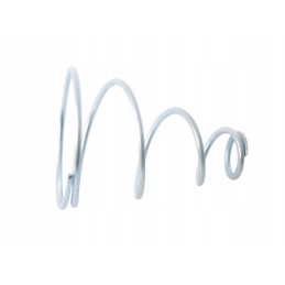 Stabdžių spyruoklė c 385 prekė 18 80227015