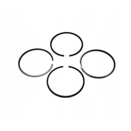 Stūmoklių žiedų rinkinys varikliui fi 102 4 p 50